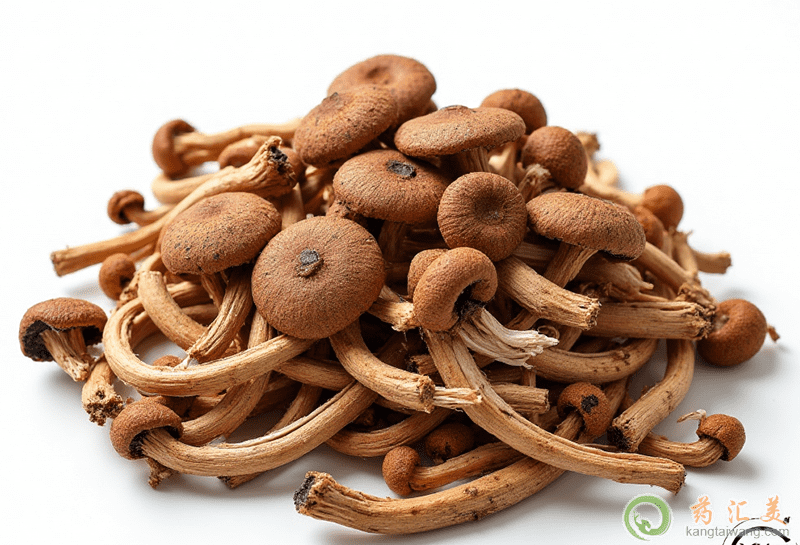 失眠可以吃茶樹(shù)菇 失眠可以吃茶樹(shù)菇