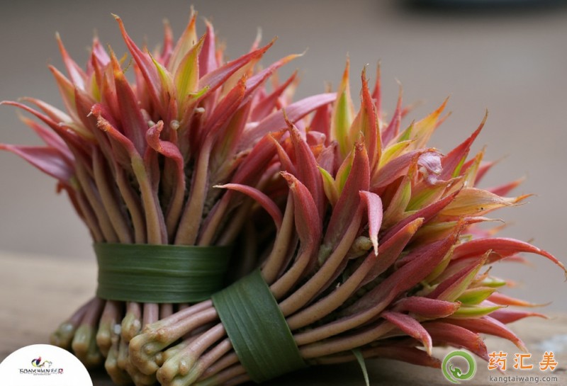 胰腺炎恢復(fù)期吃香椿好 胰腺炎恢復(fù)期吃香椿好