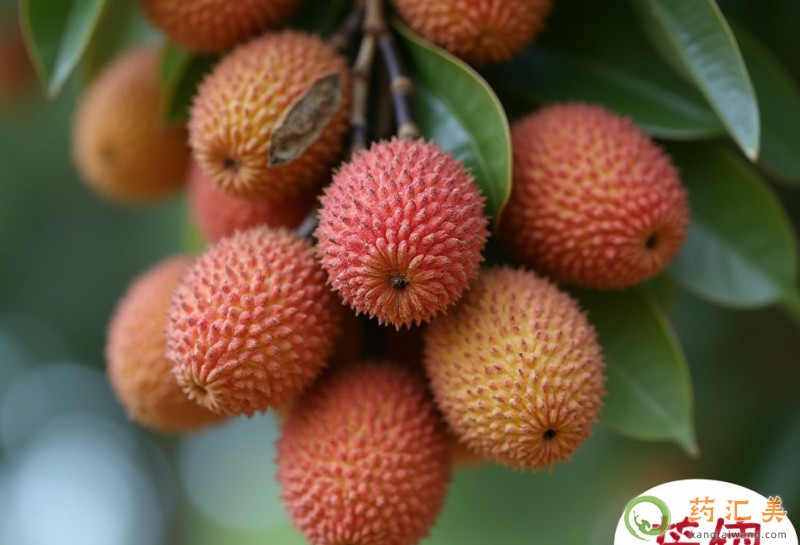 失眠吃荔枝好 失眠吃荔枝好