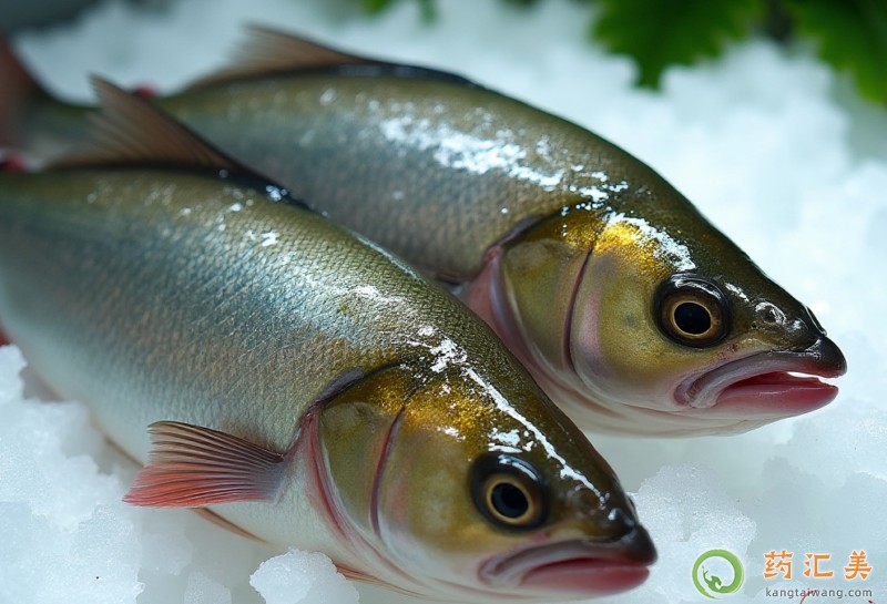 胃炎吃胖頭魚好 胃炎吃胖頭魚好