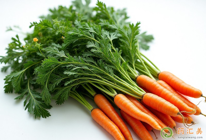 胰腺炎能吃胡蘿卜纓嗎 胰腺炎能吃胡蘿卜纓嗎