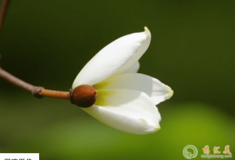 ĠI(yng)B(yng)r(ji)ֵ