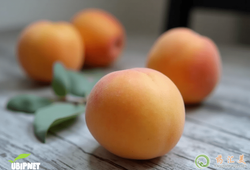 黃金蜜桃的營養(yǎng)價(jià)值 黃金蜜桃的營養(yǎng)價(jià)值